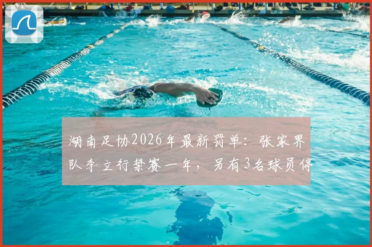 湖南足协2026年最新罚单：张家界队李立行禁赛一年，另有3名球员停赛半年，球场纪律问题引关注